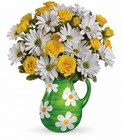 /images/telsg10/T12E200^1lg.jpg Teleflora's Happy Daisies Bouquet Premier Flowers from Cottage Florist, Lakeland Fl 33813
